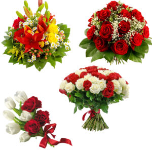 Arreglos Florales Villa Clara
